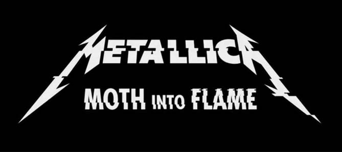 Moth Into Flame